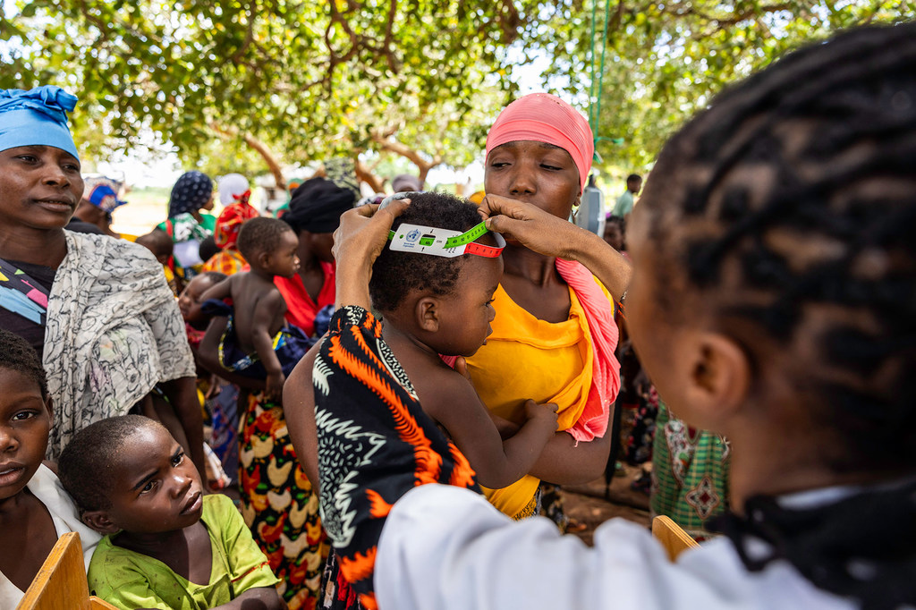 流动医疗队正在为莫桑比克德尔加多省的流离失所者提供基本医疗服务。